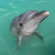 もっちゃんの画像