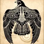 KKNOの画像