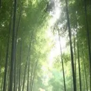 武浪ノリの画像