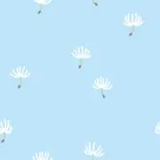 ぽぽ