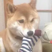 ととの