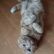 ひろみん