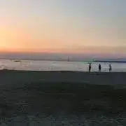 natsu!の画像