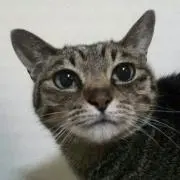 ユキ