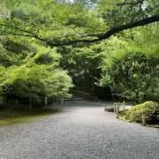 悟