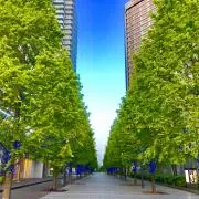 tomoの画像