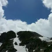 ニコ