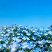 未開封】Daiwa Wise Stream 50TULB【ベイト用】 - メルカリ
