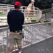 Taka Kobaの画像