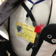 Y.の画像