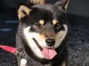 もっちゃん