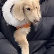 tama‪の画像