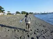 bulsetteの画像