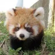 あきらち