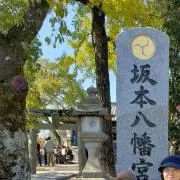 のりのりの画像