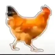 saitamasensei