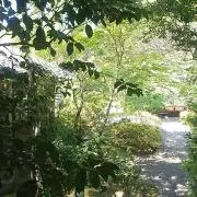 N,S
