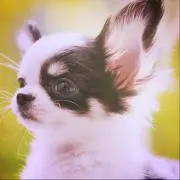 まなみの画像