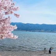 YUI&YAの画像