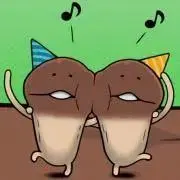 しろねこ