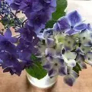 らりるまま☆コメント前にプロフ確認を～☆の画像