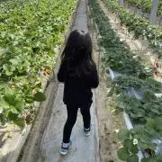 ❇︎kay❇︎翌日発送の画像