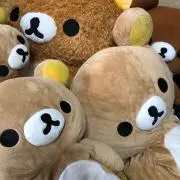 くまっくま