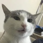 MR.muの画像