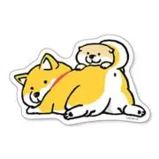 ぽちの画像