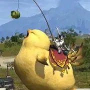 あおちゃん