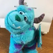 コイケの画像
