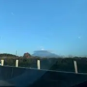 みーみの画像
