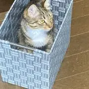 すん