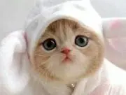 まなみの画像