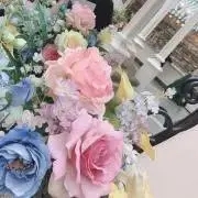 ほたて/断捨離中の画像