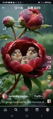 むつき