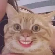 Zprinceの画像