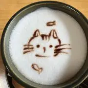 ドリーマーの画像