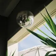 ダンテ