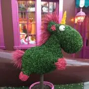 かあちゃん＊体調不良不安定の画像