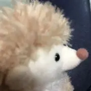 まろんの画像