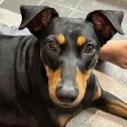 SKの画像