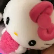 Image of トトロ꙳★*゜
