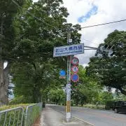 さきいかの画像