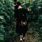 みえ