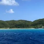 aoの画像
