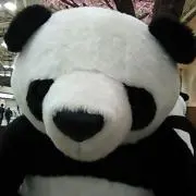 たぁくん