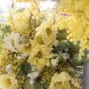 tomy ⭐︎おまとめ割致します！の画像