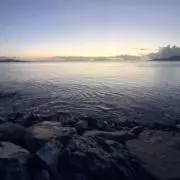 あらた