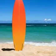 wowの画像